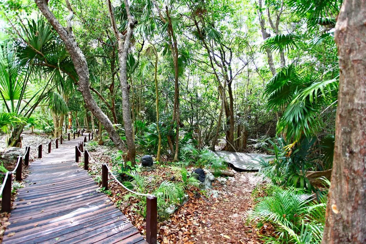 Sandos Caracol Eco Resort All Inclusive (Adults Only) Playa del Carmen 5*,  Mexico
